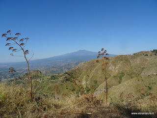 Monte Venere